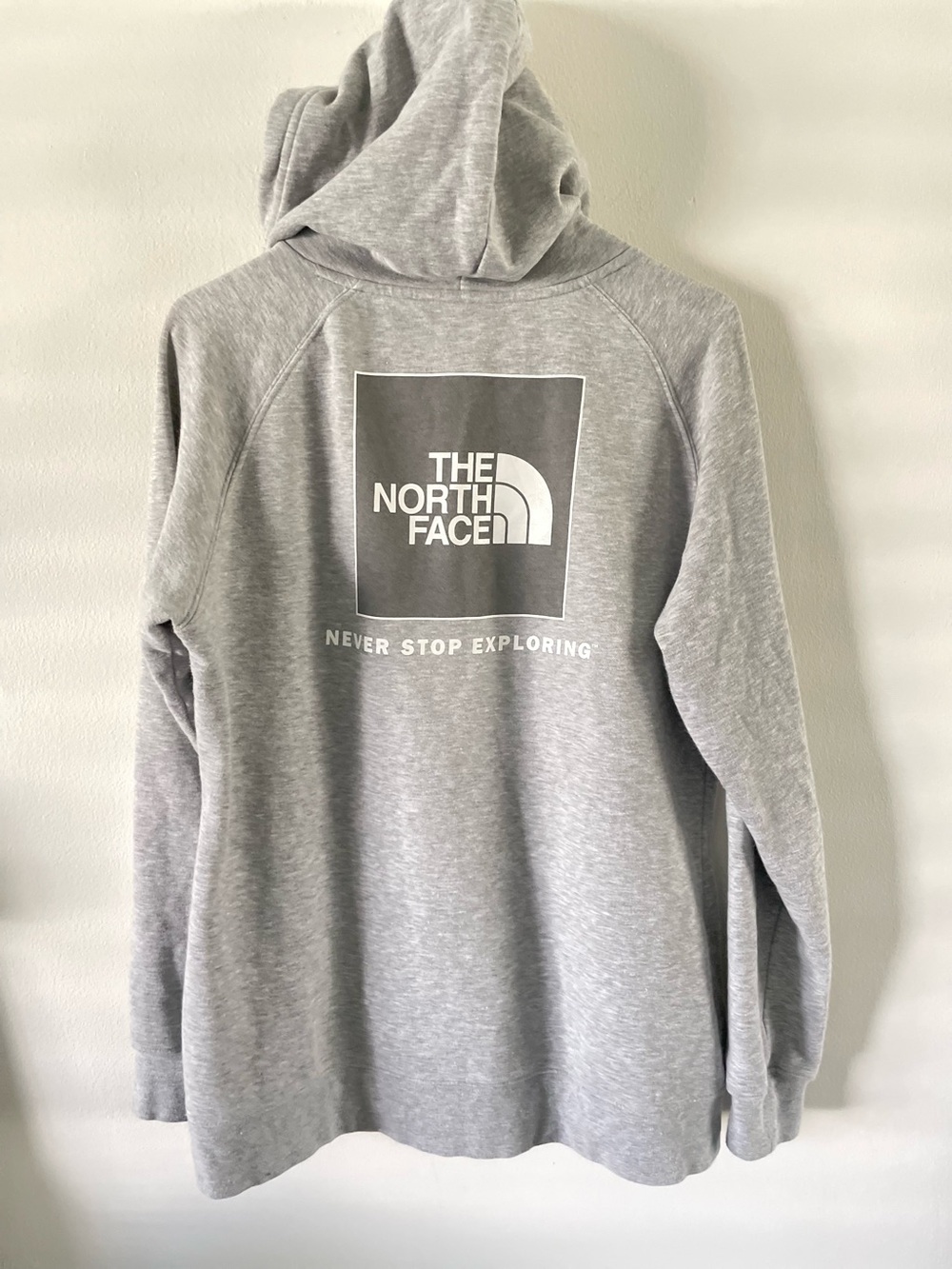 The North Face Womens Pullover Hoodie Sweatshirt Size Large Gray